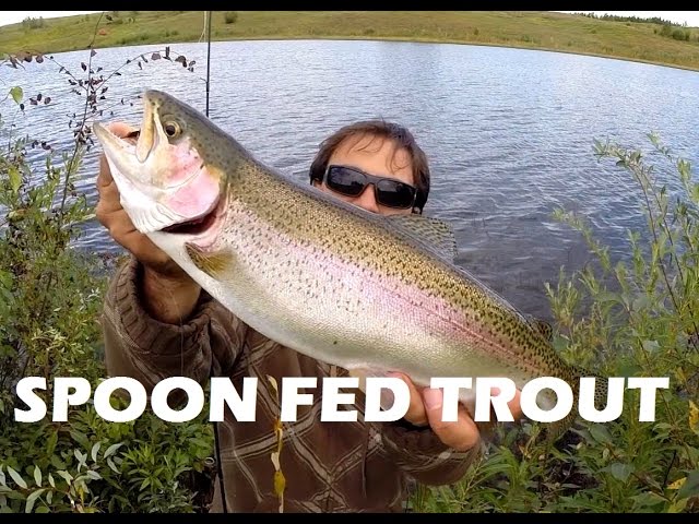 How to catch Rainbow Trout with Spoon 