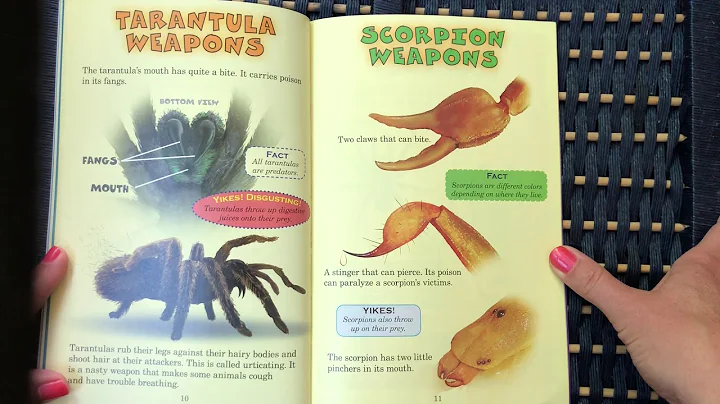 Who Would Win? Tarantula vs. Scorpion