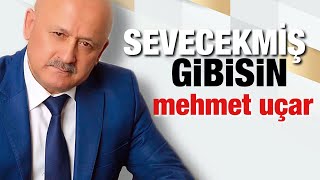 Mehmet Uçar - Sevecekmiş Gibisin Resimi