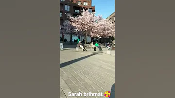 اغنية جزائرية نتا هو الباشا 