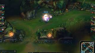 0 damage nidalee spear bug