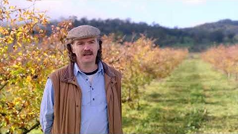 Michael Henry Harcourt VIC: Apple & pear grower and cider maker