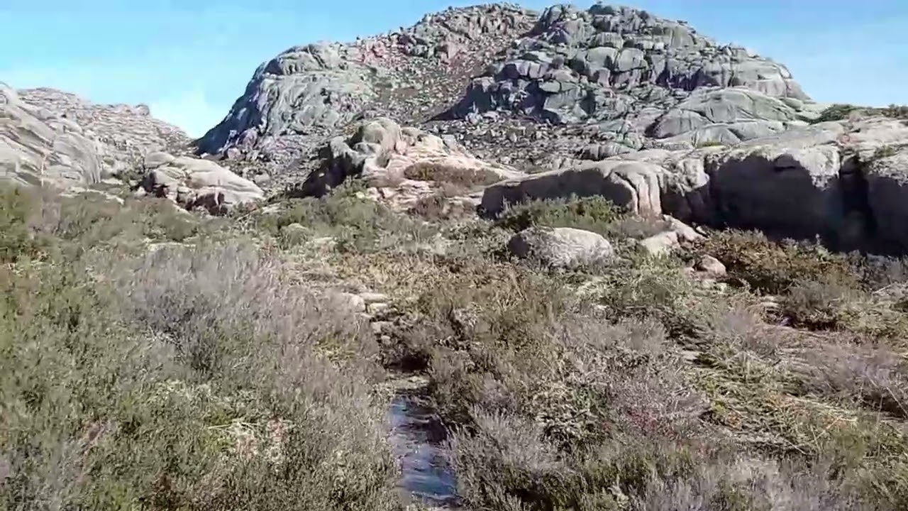 Fev2026 - Arado - Pradolã - Belas Brancas - Rocalva - Arado