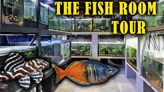 Fish Room Tour Feeding Over 500 Fish