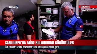 Şanlıurfa’da Mide Bulandıran Görüntüler | Tatlıların İçinden Böcek Çıktı