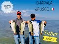 PESCANDO EN LAGO DE CHAPALA//POWER  FISHING BIGBALL!!