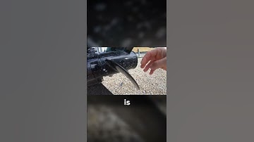 DONT get the WRONG size prop!