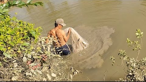 Thăm Lờ Cá Lóc Trúng Ngày Tổ Đãi Dính Toàn Cá Lóc To 