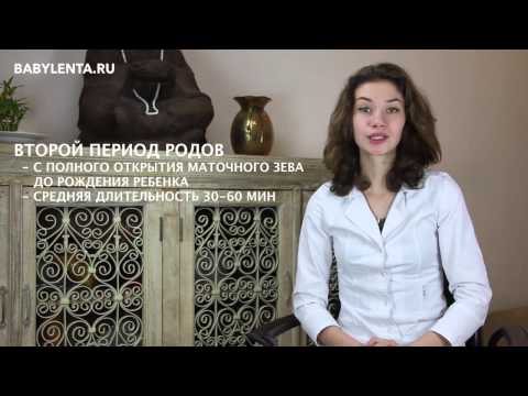 Как проходят роды. Периоды родов и их продолжительность