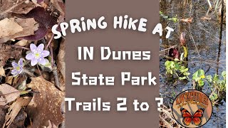 Spring Hike at IN Dunes State Park Trails 2 -9 & 10 Loop