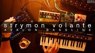 BURG - Wasteful state of unconsciousness (Strymon volante vs Avalon Bassline)