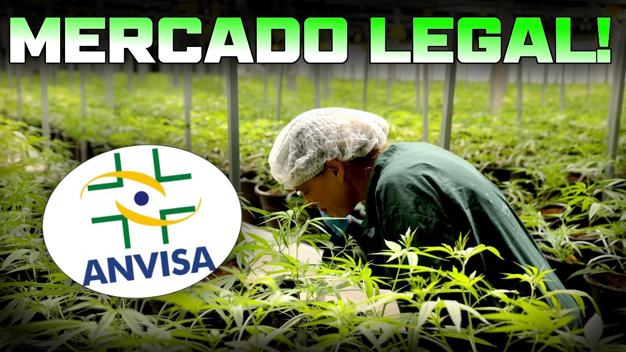 PROFISSÃO GROWER | Como Trabalhar com o CULTIVO NO BRASIL?