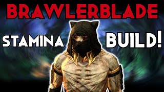 St Nightblade Brawler Build Huge Damage Eso Pvp Gameplay