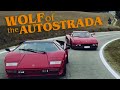 Wolf of the autostrada