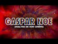 Le cinma de gaspar no