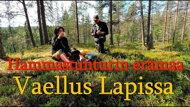 Lapin erämaassa kesällä vaeltamassa  Inari tunturit Rautujärvi Hammastunturin autiotupa