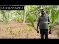 தேங்காய் இளநீர் இரண்டிலுமே அசத்தும் குட்டை நெட்டை ரகம்