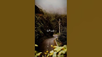 سورة النساء القارئ #سعد_الغامدي