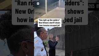 "Ran right up like spiders": New Orleans sheriff shows how inmates escaped jail #shorts