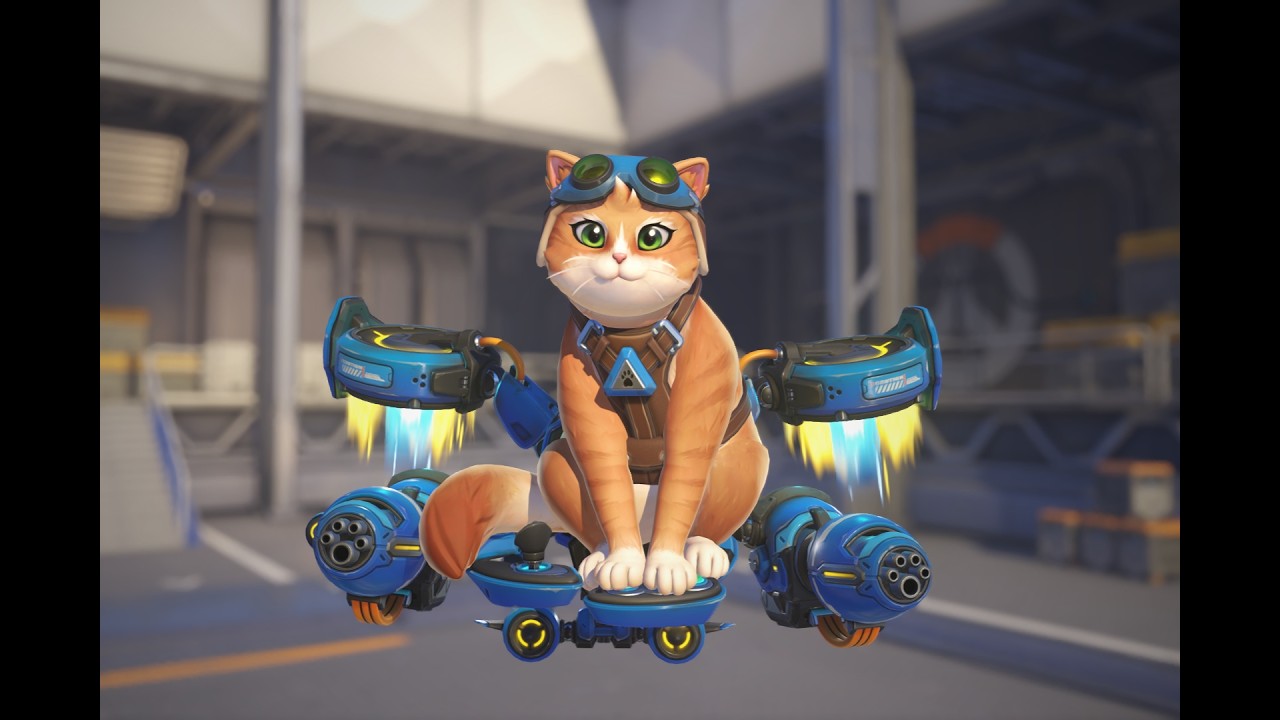 오버워치에 아주 귀여운 신규 힐러가 나왔습니다 [오버워치 제트팩 캣]