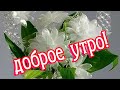 Доброе утро! ❤️Добра тебе, солнца и много любви! ❤️Музыкальное пожелание ❤️Good morning!❤️