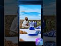 Bialetti X Dolce&Gabbana Blue Mediterranean Moka Induction - Tiny Lux