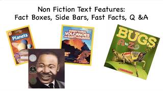 Week 3 Day 1 (4/27) : Text Features-Fact Boxes