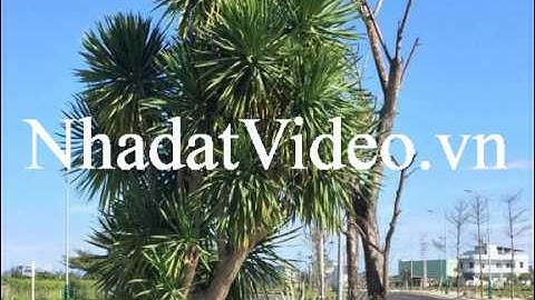 Bán đất Trần Đại Nghĩa,Hòa Hải,Ngũ Hành Sơn,Đà Nẵng,Việt Nam