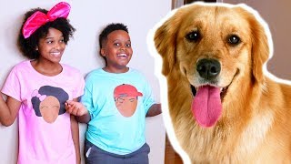 Mystery DOG  In The House!  Shasha and Shiloh  Onyx Kids