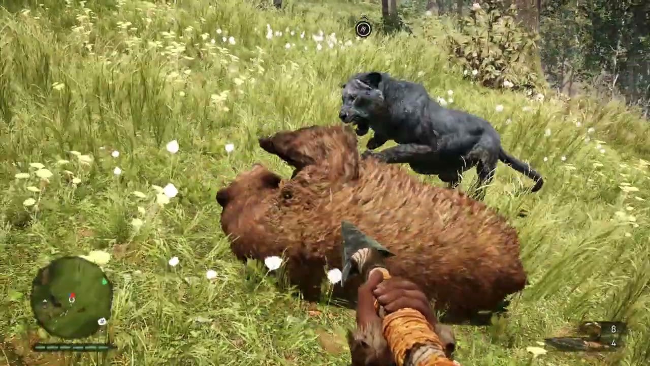 Far Cry primal black lion vs brown bear