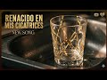 Renacido en mis Cicatrices - Alcides Perez (Official Audio) 