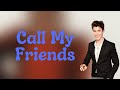 Shawn Mendes Call My Friends Lyrics mp3