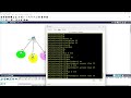 Mastering VLAN Configuration and Port Assignment in Cisco Packet Tracer: Step-by-Step Guide