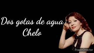 Video thumbnail of "Chelo | Dos gotas de agua 《Con letra》"