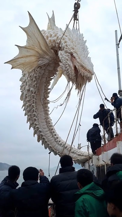 From Tiny Creatures to Sea Monsters! 🌊🐉 #animalgrowth #cute #seamonster #viral