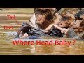 Dana bad mom, Why Dana and Sasha mom monkey do wrong baby?poor baby near drowning