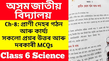 Class 6 science chapter 8 questions answer | প্ৰাণীৰ দেহৰ গঠন আৰু কাৰ্য্য | assam jatiya vidyalaya