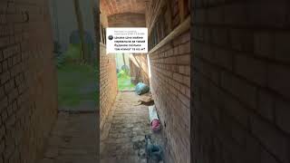 Наш двір #купилидом #купилидачу #купилидомвдеревне