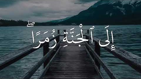 ماهر المعيقلي مقطع جميل جداً حزين قرآن الكريم حالات واتس اب دينية سورة الزمر 😢