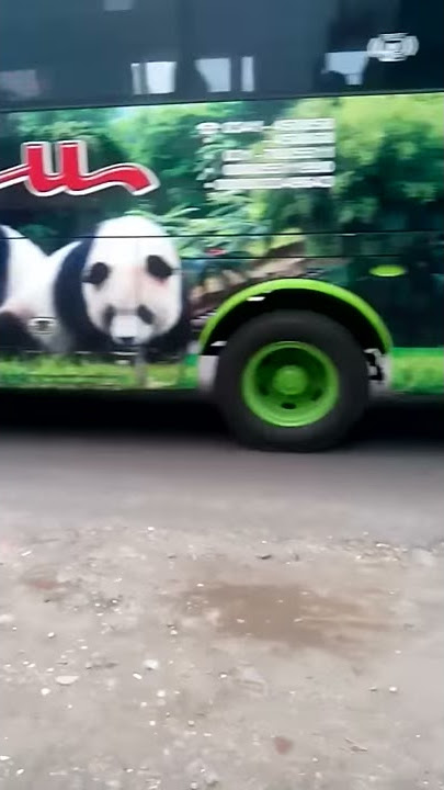 Klakson telolet restu panda lake toba