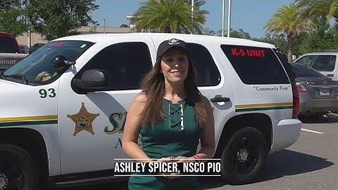 Meet Raven and Rogue! Nassau County Sheriff