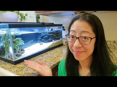All My “Neglected” Aquariums (+ Short 2023 Life Update)