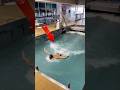 "Swim FAST Or Get Wrecked" pool
