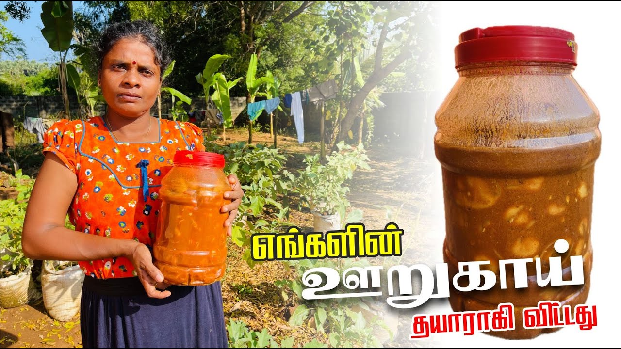 lime lemon lemonpicklerecipe lime-lemon-lemonpicklerecipe