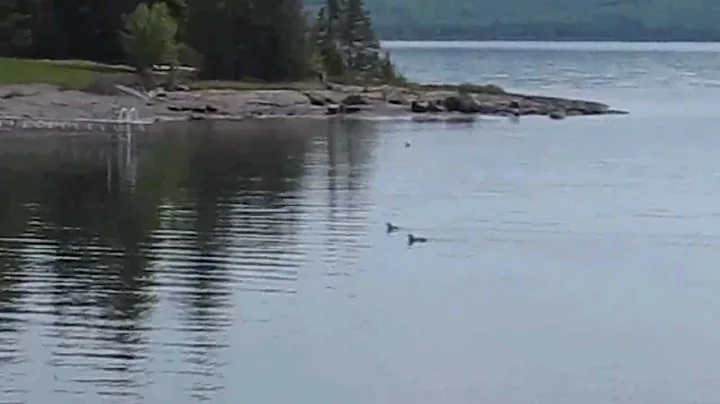 Bay's End Lake Superior