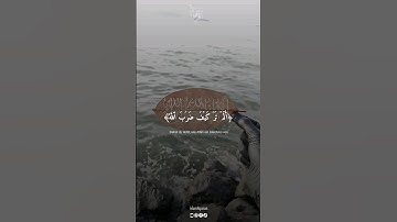 سورة إبراهيم بصوت القارئ  ريان المحيسني، أَلَمْ تَرَ كَيْفَ ضَرَبَ اللَّهُ مَثَلًا