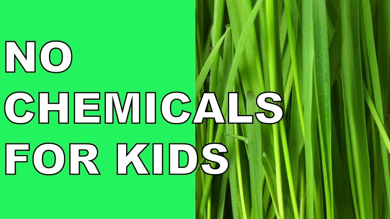 The No-Nonsense Guide to Natural Hair Products for Kids.