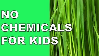 The No-Nonsense Guide To Natural Hair Products For Kids.