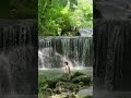 Headwaters Down - Part 1 Teaser #shorts #paddling #canoeing #river #camping