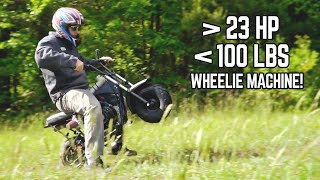 We Put a 23HP Engine on a TINY Mini Bike & It's a Wheelie Machine!